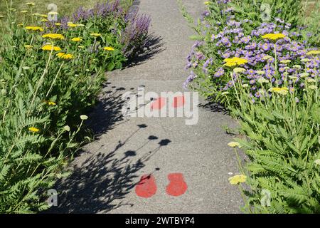 closeup on red painted footprints on the asphalt path among the colorful flowers in france Stock Photo