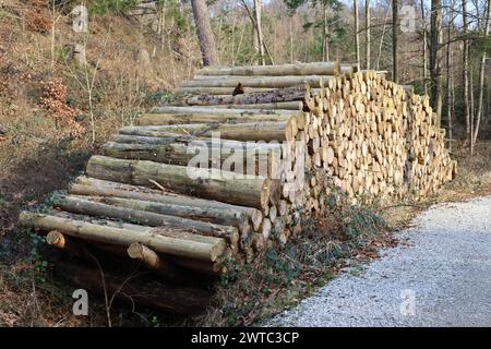 Wood pile near mountain road Stock Photo