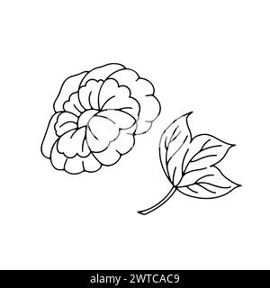 Monochrome black and white floral chinoiserie style flower isolated on white background Stock Vector