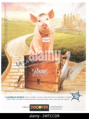 BABE: PIG IN THE CITY Stock Photo - Alamy