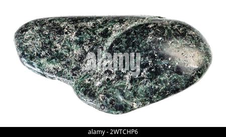 specimen of natural tumbled actinolite rock cutout on white background Stock Photo