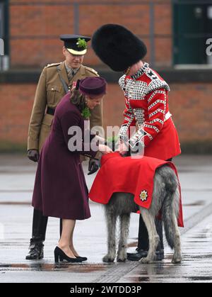 Aldershot, UK. March 17th, 2024. Lady Ghika, wife of the Regimental Lieutenant Colonel, Major General Sir Christopher Ghika, steps forward to present shamrock to their mascot, 3-year-old Irish Wolfhound, Seamus, on the Parade Square at Mons Barracks, Aldershot, during a St Patrick's Day parade. Credit: Doug Peters/EMPICS/Alamy Live News Stock Photo