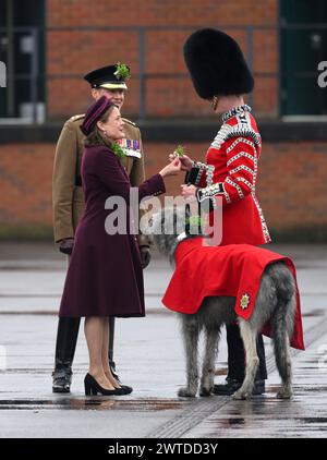 Aldershot, UK. March 17th, 2024. Lady Ghika, wife of the Regimental Lieutenant Colonel, Major General Sir Christopher Ghika, steps forward to present shamrock to their mascot, 3-year-old Irish Wolfhound, Seamus, on the Parade Square at Mons Barracks, Aldershot, during a St Patrick's Day parade. Credit: Doug Peters/EMPICS/Alamy Live News Stock Photo