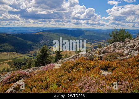 des champs des prés la nature en plein été en lozere près de saint frezal d'albuge, de Chasseradès, les monts de lozere Stock Photo