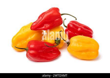 Mixture of fresh raw yellow and red Adjuma peppers close up isolated on white background Stock Photo