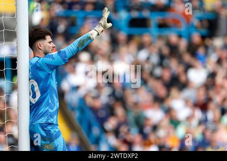 Millwall goalkeeper Matija Sarkic during the Sky Bet Championship match at Elland Road, Leeds. Picture date: Sunday March 17, 2024. Stock Photo