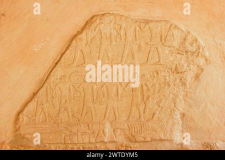 Egypt, Saqqara, near Unas causeway, ruins of the Khenu mastaba : Offering bringers. Stock Photo