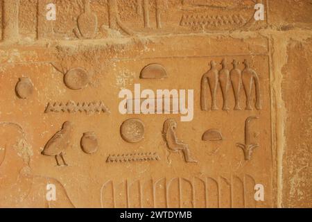 Egypt, Saqqara, near Unas causeway, ruins of the Khenu mastaba : Text with his name. Stock Photo