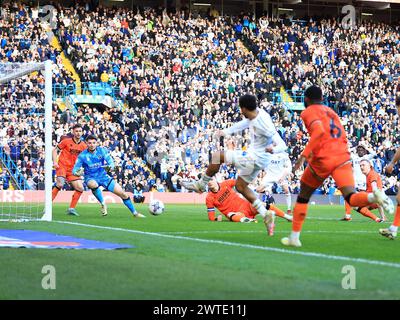 Leeds, UK. 17th Mar, 2024. Millwall Goalkeeper Matija Sarkic saves a shot from Georginio Rutter of Leeds United during the Leeds United FC v Millwall FC sky bet EFL Championship match at Elland Road, Leeds, England, United Kingdom on 17 March 2024 Credit: Every Second Media/Alamy Live News Stock Photo