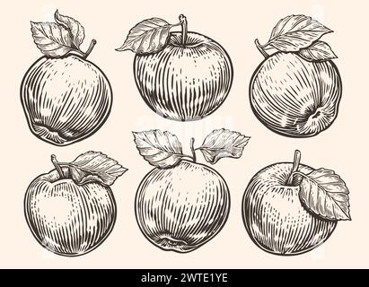 Apple with leaf. Ripe fruits set. Hand drawn sketch vector illustration Stock Vector