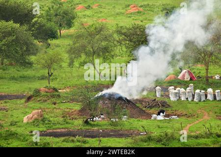 Smoking mound of wood due to burning bush wood  in traditional charcoal production. Uganda Stock Photo
