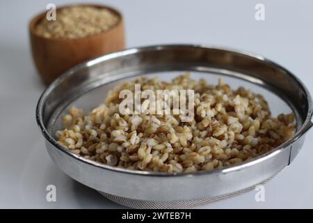Soaked whole grain hulled barley in the strainer. Whole grain, nutritious, organic, ingredient. Perfect for healthy recipes, food bloggers and food ph Stock Photo
