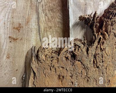Different wood textures background carpentry Stock Photo