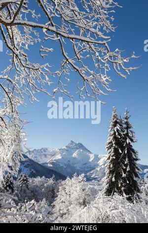 Winter landscape view of trees covered by snow and framing a mountain range with a sunny day blue sky Stock Photo