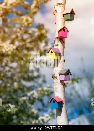 many colorful birdhouses on a tree trunk in a spring sunny garden are waiting for the arrival of migratory birds Stock Photo