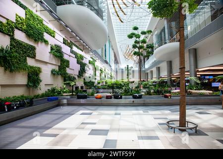 luggage claim area with tropical plants in airport Stock Photo