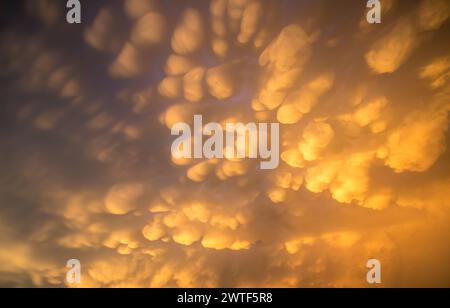 Mammatus clouds illuminated by the sunset fill the sky after a storm has passed. Stock Photo