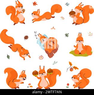 Cartoon squirrel. Forest funny squirrels in different poses. Animals sleep, storing food for winter, play and meditation. Cute nowaday vector Stock Vector