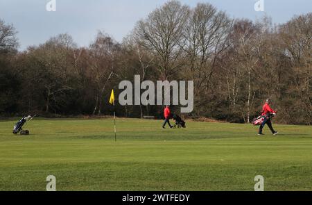 Men Playing Golf at Wimbledon Common Golf Course  London Scottish Golf Club Greater London England Stock Photo