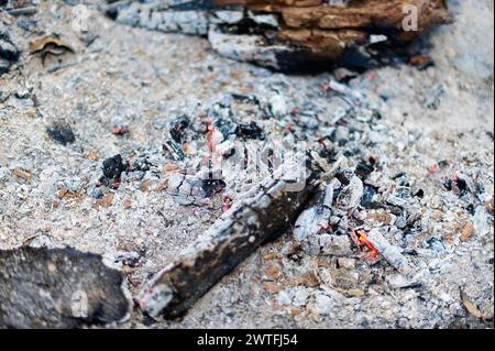 Ash and charcoal resulting from burning wood, with light smoke emerging Stock Photo