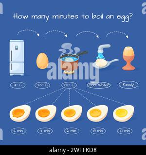 Boiling eggs time. Chicken boiled egg half cooking infographic, soft or