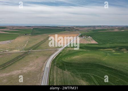 Aerial view of the famous Washington Palouse with dry and green fields and rolling hills. Stock Photo