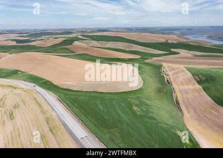 Aerial view of the famous Washington Palouse with dry and green fields and rolling hills. Stock Photo