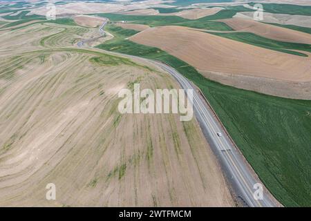 Aerial view of the famous Washington Palouse with dry and green fields and rolling hills. Stock Photo