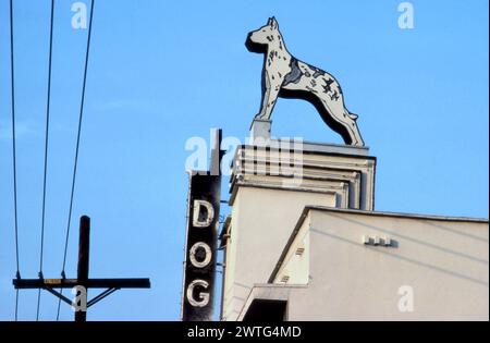 art deco, sign, dog, hospital, Hollywood, LosAngeles,  California, USA Stock Photo