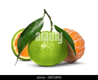 Fresh green tangerines isolated on white. Citrus fruit Stock Photo