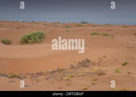 Tengri Desert in the Inner Mongolia Autonomous Region in China. Sunset picture with copy space for text Stock Photo