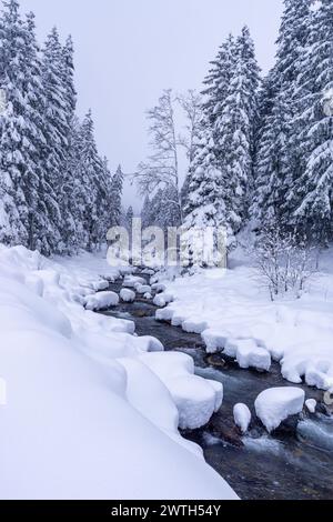 The Engstlige, a small river, in deep snow from the path towards Unter dem Birg (1,406 m) near Bode and Adelboden, Bernese Oberland, Switzerland Stock Photo