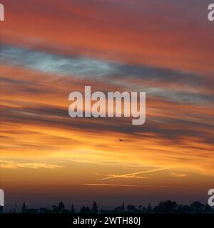 A beautiful sunset with a bird flying in the sky. The sky is filled with clouds and the sun is setting, creating a warm and peaceful atmosphere Stock Photo