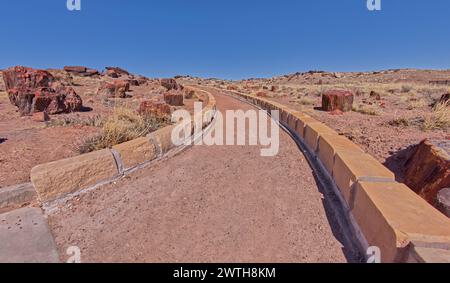 Giant Logs Trail in Petrified Forest AZ Stock Photo