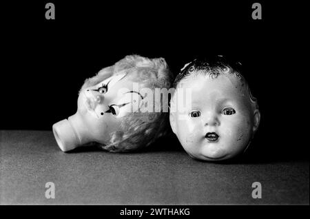 Dolls Heads photographed in the studio. Stock Photo
