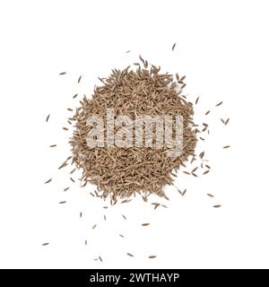 Heap of dry fennel seeds on white. Stock Photo