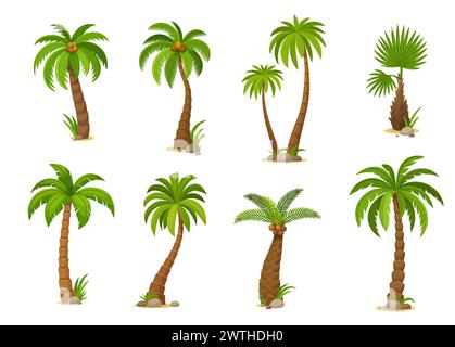 Cartoon jungle coconut palm trees. Vivid vector set featuring isolated jungle plants with lush fronds, capturing the essence of tropical beauty. Vibrant exotic flora, 2d game assets or gui elements Stock Vector