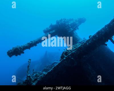 Flugabwehrkanone am Heck, Wrack der Thistlegorm, Rotes Meer, Ägypten *** Anti-aircraft gun at the stern, wreck of the Thistlegorm, Red Sea, Egypt Stock Photo