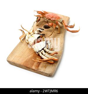 Cooked river crab isolated in white background Stock Photo