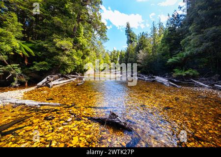 STYX VALLEY, AUSTRALIA - FEBRUARY 20 2024: Landscape of the Styx River area of the Styx Valley near Maydena in Southwest National Park, Tasmania, Aust Stock Photo