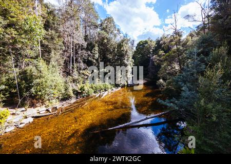 STYX VALLEY, AUSTRALIA - FEBRUARY 20 2024: Landscape of the Styx River area of the Styx Valley near Maydena in Southwest National Park, Tasmania, Aust Stock Photo