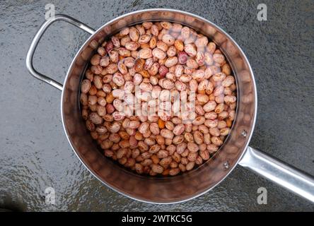 Home grown dried borlotti beans  soaking in a saucepan Stock Photo