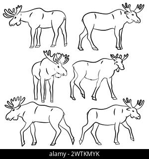 Moose action set. Vector illustration collection Stock Vector