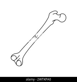Transverse bone fracture line icon. Vector isolated element. Editable stroke. Stock Vector