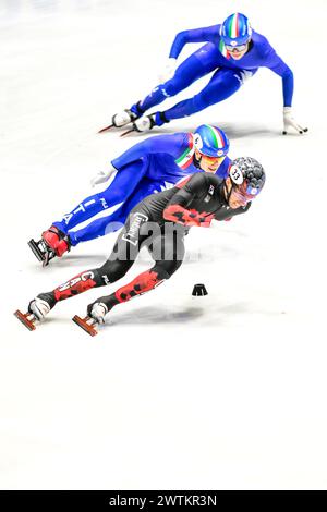 DANDJINOU William CAN competing in the final of the 1000m in the World Short Track Speed Skating Championship from Rotterdam on 17 March 2024. Photo by Phil Hutchinson. Editorial use only, license required for commercial use. No use in betting, games or a single club/league/player publications. Credit: UK Sports Pics Ltd/Alamy Live News Stock Photo