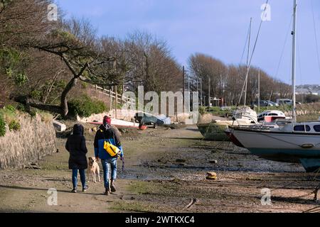Dog walkers with their pet Labrador walking past various sailing craft boats sail boats in various states of disrepair moored at low tide on the tidal Stock Photo