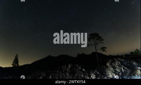 night photo in the glens of Teide, where you can see stars and nebulae, and the silhouette of Teide. Pine forest Stock Photo