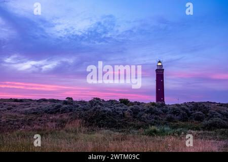 This captivating image showcases a lighthouse bathed in the fading light of twilight, standing tall amidst the wild heath. The dusky sky transitions from deep blue to soft pink and purple hues, adding a surreal quality to the scene. The lighthouse's beacon shines like a jewel, guiding through the encroaching night. The surrounding heath, with its undulating landscape of bushes and grasses, is cast in subtle shades, hinting at the area's natural diversity and wild beauty. Lighthouse Aglow at Twilight Amidst Wild Heath. High quality photo Stock Photo