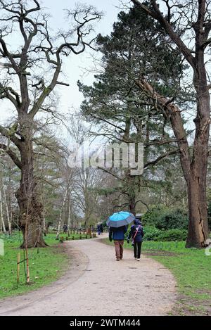 A middle aged couple with umbrella up walking through the woodlands gardens in Bushy Park West London England UK Stock Photo