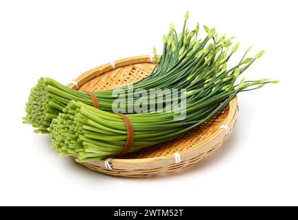 a bunch of flowering chinese garlic chives on the white background Stock Photo